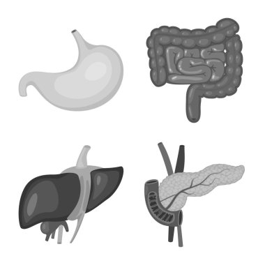 İç ve tıbbi simge yalıtılmış nesne. İç kümesi ve hisse senedi için sağlık vektör simgesi.