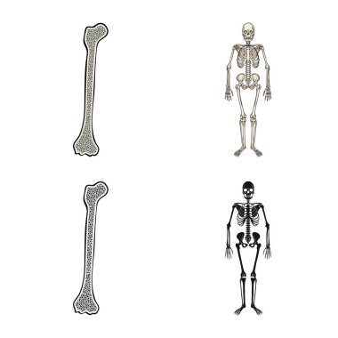 Tıp ve klinik sembolü yalıtılmış nesne. İlaç ve tıbbi vektör simgesini hissenin koleksiyonu.