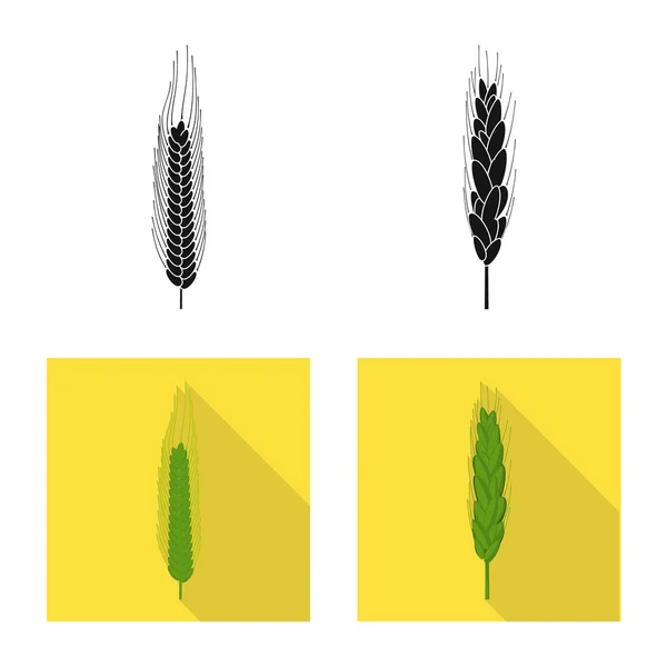 Objeto isolado da agricultura e símbolo da agricultura. Coleta da agricultura e ilustração vetorial do estoque vegetal . —  Vetores de Stock