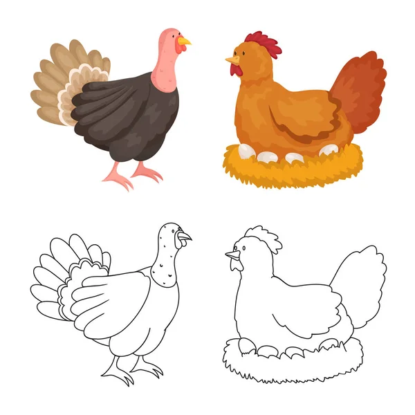 Diseño vectorial del logotipo de cría y cocina. Colección de reproducción e ilustración de vector de stock orgánico . — Vector de stock