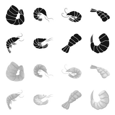 Meze ve okyanus logo vektör tasarımı. Meze dizi ve hisse senedi için incelik vektör simgesi.