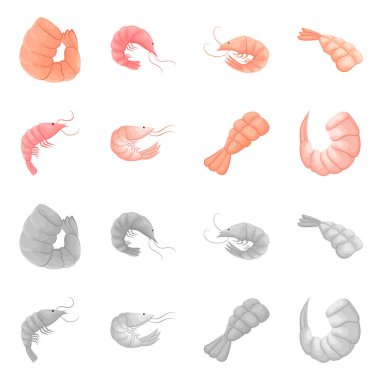 Meze ve okyanus işareti vektör Illustration. Meze koleksiyonu ve hisse senedi için incelik vektör simgesi.