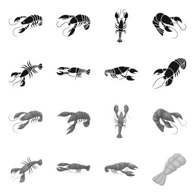 Meze ve okyanus logosu yalıtılmış nesne. Web için meze ve incelik hisse senedi simgesi kümesi.