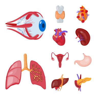 Anatomi ve organ simge vektör tasarımı. Anatomi ve hisse senedi için tıbbi vektör ikon koleksiyonu.
