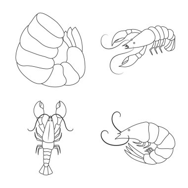 Gıda ve deniz simgesi vektör tasarımı. Gıda ve hayvan stok vektör illüstrasyon toplama.