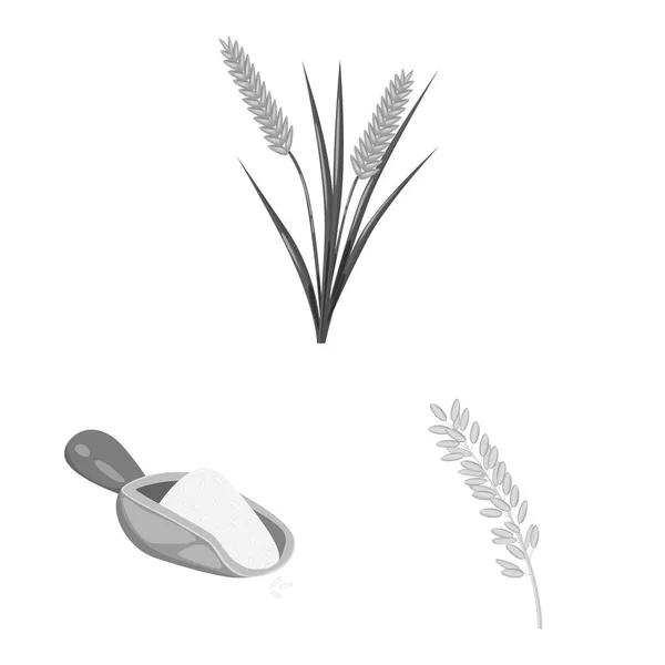 Vektordesign von Lebensmitteln und Bio-Logo. Sammlung von Nahrungsmitteln und landwirtschaftlichen Bestandsvektoren. — Stockvektor