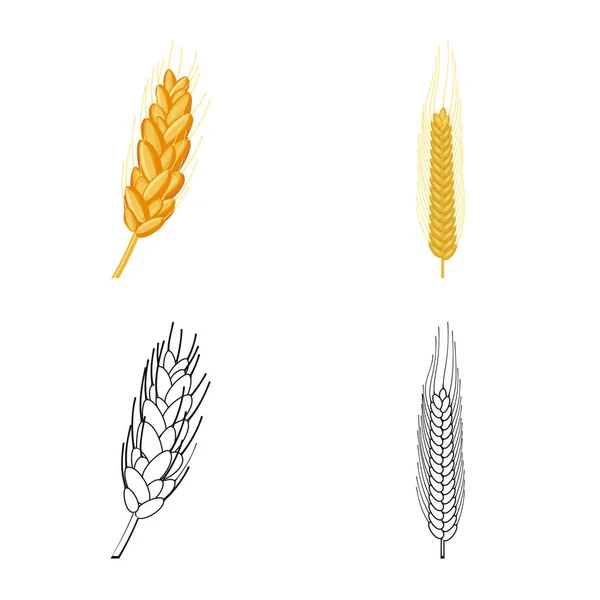 Illustration vectorielle du signe agricole et agricole. Collection d'agriculture et de matériel végétal symbole pour la toile . — Image vectorielle