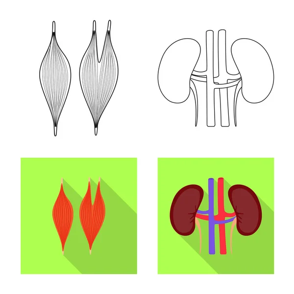 Vektorillustration der Biologie und des wissenschaftlichen Logos. Biologie- und Laborvektorsymbole für Aktien. — Stockvektor