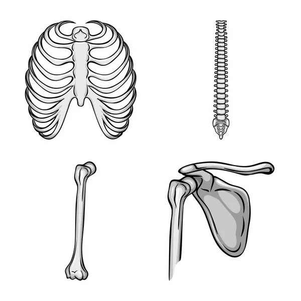 Ilustração vetorial da biologia e do ícone médico. Conjunto de biologia e esqueleto vetor ícone para estoque . — Vetor de Stock