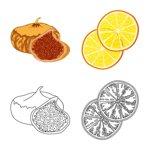 Ilustración vectorial de alimentos y signos crudos. Colección de alimentos y naturaleza vector icono para stock . — Vector de stock