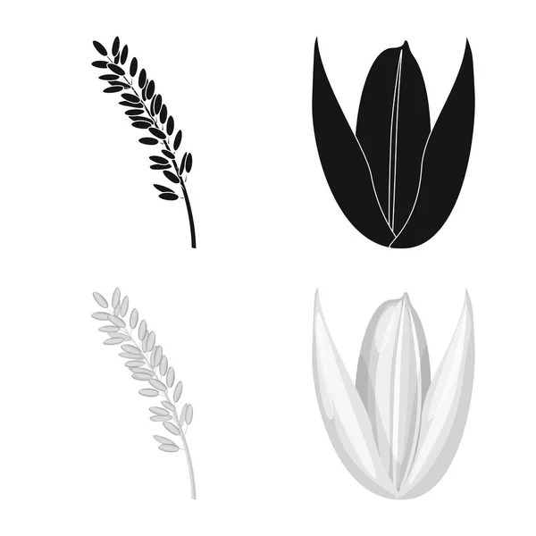 Isolerade objekt av gröda och ekologiska tecken. Samling av gröda och matlagning vektor ikon för lager. — Stock vektor