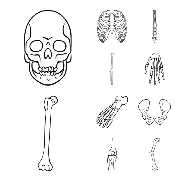 Desenho vetorial da medicina e símbolo da clínica. Coleção de medicina e ilustração vetorial de estoque médico . — Vetor de Stock