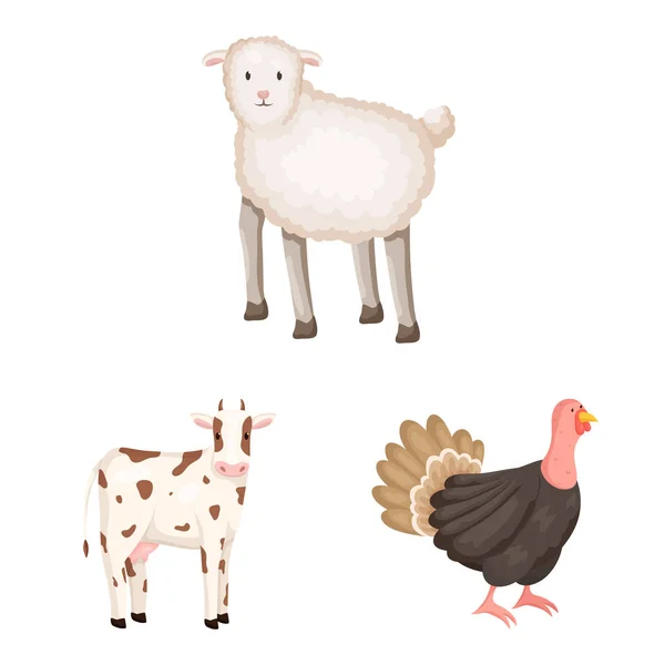 Diseño vectorial de la granja y el signo de comida. Colección de icono de vector de granja y campo para stock . — Archivo Imágenes Vectoriales
