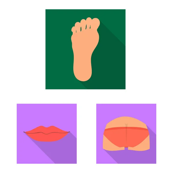 Oggetto isolato di corpo e parte logo. Set di icone vettoriali corpo e anatomia per stock . — Vettoriale Stock