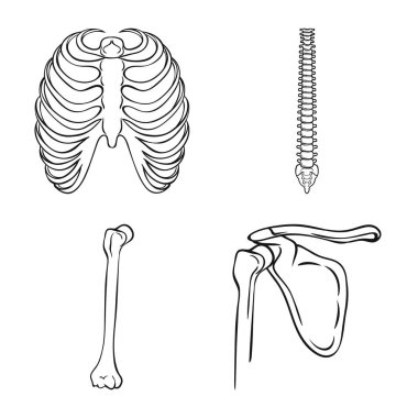 Tıp ve klinik simge vektör tasarımı. İlaç ve tıbbi hisse senedi vektör çizim koleksiyonu.