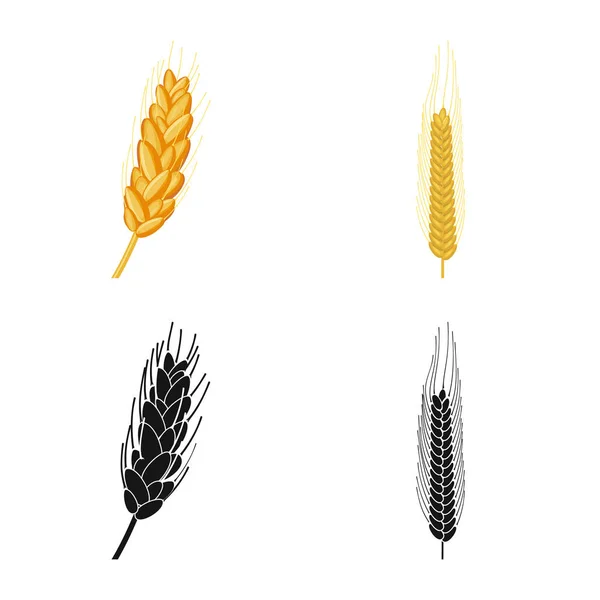 Conception vectorielle du logo agricole et agricole. Ensemble d'icône vectorielle agricole et végétale pour le stock . — Image vectorielle