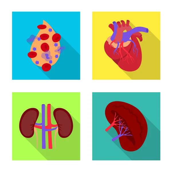 Vektor-Design von Menschen und Gesundheit Symbol. Sammlung menschlicher und wissenschaftlicher Bestandsvektorillustrationen. — Stockvektor