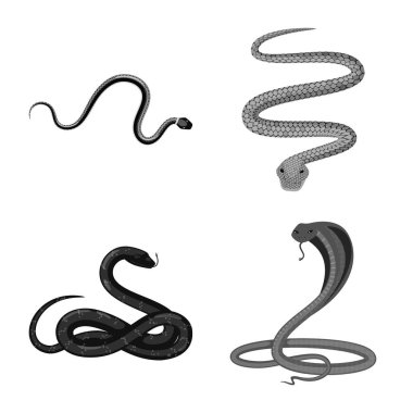 Zarar illüstrasyon vektör ve logo ısır. Zarar ve sürüngen hisse senedi vektör çizim seti.