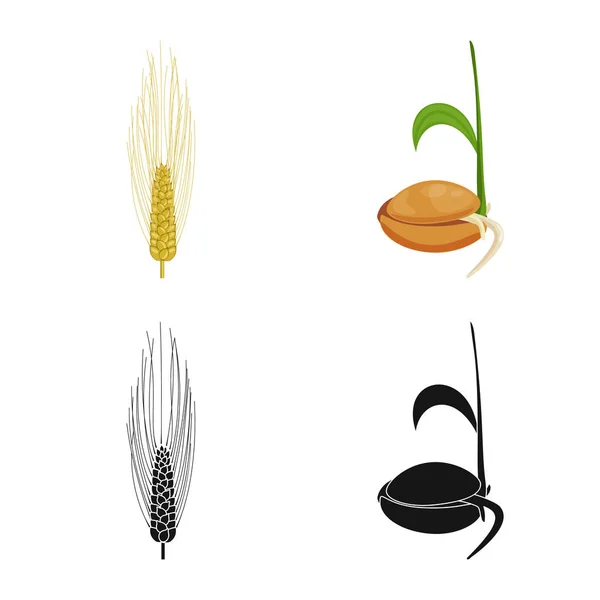 Векторное проектирование сельского хозяйства и иконы сельского хозяйства. Набор векторных иконок для сельского хозяйства и растений . — стоковый вектор