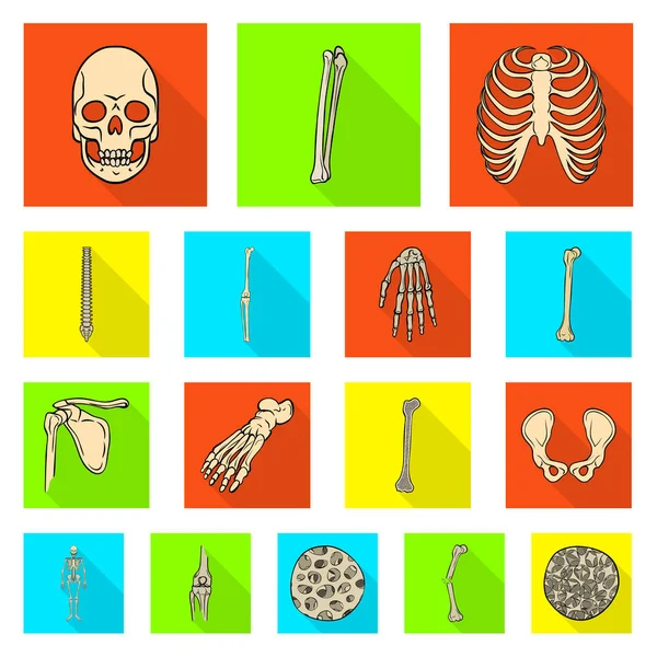 Векторная иллюстрация символа кости и скелета. Коллекция векторных иллюстраций костей и человеческого рода . — стоковый вектор