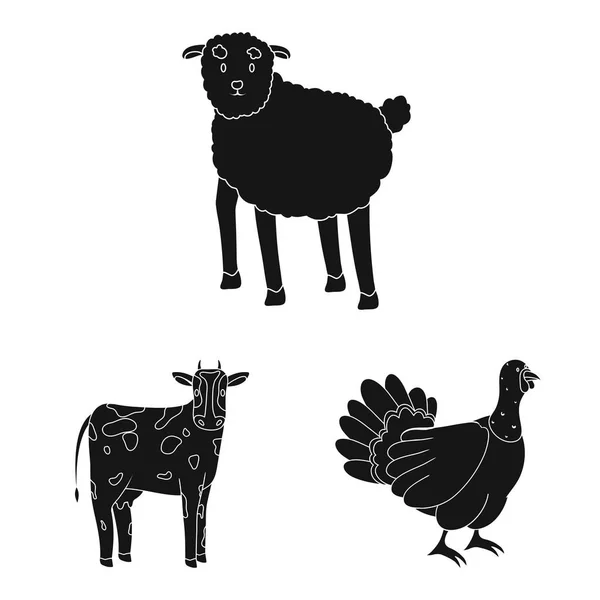 Diseño vectorial de rancho y signo orgánico. Conjunto de rancho y vector de alimentos icono para stock . — Vector de stock