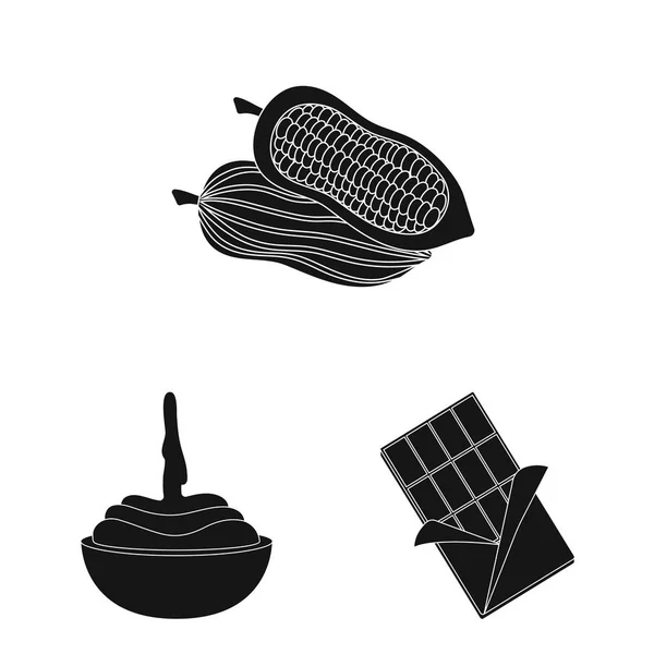 Векторный дизайн приготовления пищи и коричневый символ. Набор кулинарных и бобовых символов для паутины . — стоковый вектор
