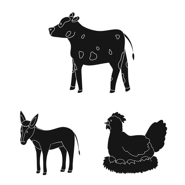 Diseño vectorial de rancho y signo orgánico. Conjunto de rancho y vector de alimentos icono para stock . — Vector de stock