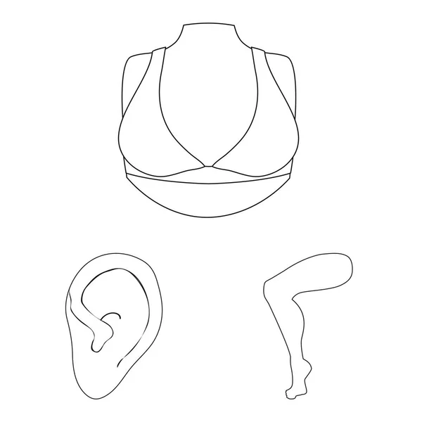 Vector ontwerp van lichaam en deel pictogram. Set van lichaam en anatomie aandelensymbool voor web. — Stockvector