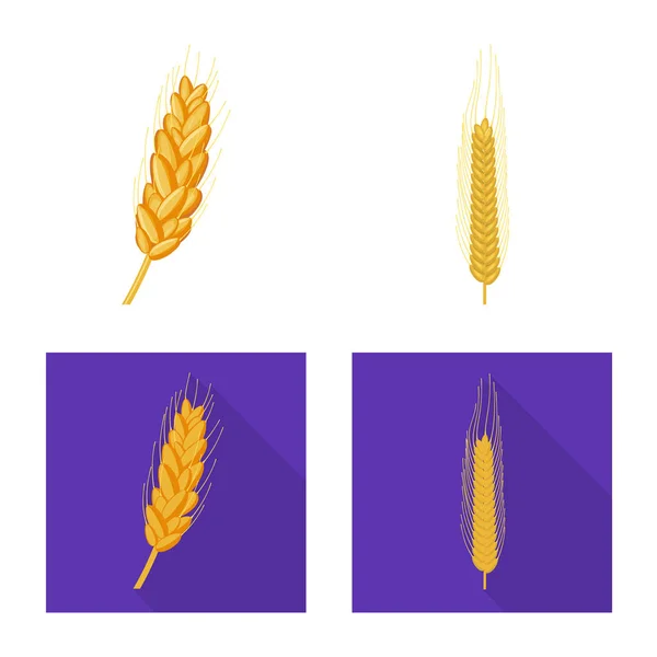 Vektor design av jordbruk och jordbruk symbol. Uppsättning av jordbruk och växt vektor ikonen för lager. — Stock vektor