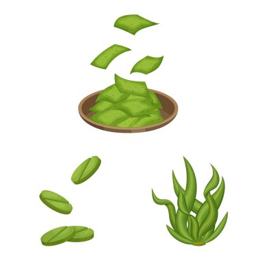 Spirulina ve yosun simgesiizole nesne. Stok için spirulina ve vegan vektör simgesinin toplanması.