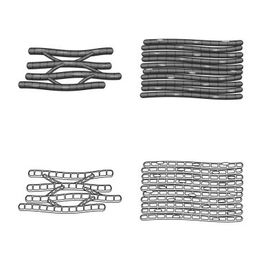 Lif ve kas logo yalıtılmış nesne. Set elyaf ve vücut hisse senedi vektör çizim.