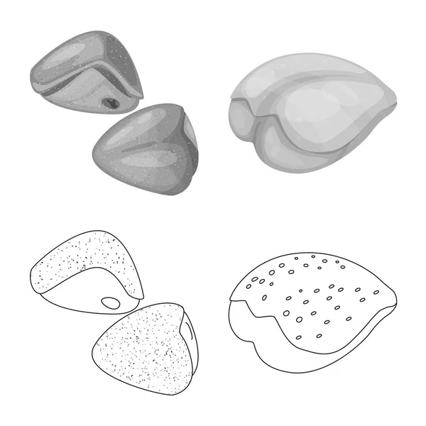 Oggetto isolato del prodotto e segno del pollame. Serie di illustrazione vettoriale del prodotto e dello stock agricolo . — Vettoriale Stock