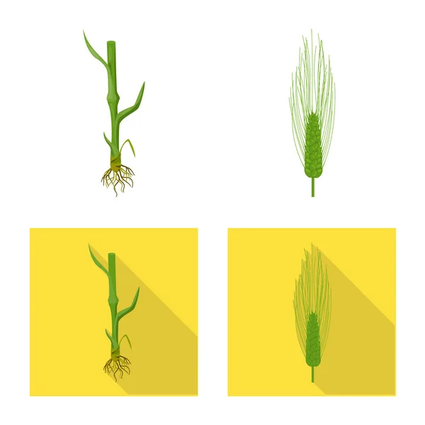 农业和农业标识的矢量设计。集农业和植物媒介图标为股票. — 图库矢量图片