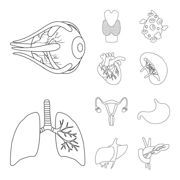 Projekt wektor logo anatomii i narządów. Kolekcja anatomii i medycznych Stockowa ilustracja wektorowa. — Wektor stockowy