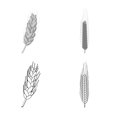 Tarım ve tarım işareti izole nesne. Tarım ve bitki hisse senedi simgesi için web topluluğu.