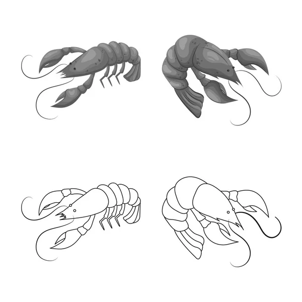 Illustration vectorielle de l'apéritif et icône de l'océan. Ensemble d'amuse-gueule et de délicatesse illustration vectorielle de stock . — Image vectorielle