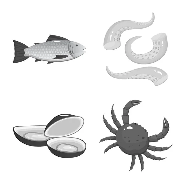 Vektorillustration von Meeresfrüchten und gesundem Symbol. Sammlung von Meeresfrüchten und Ozeanvektorsymbolen für Aktien. — Stockvektor