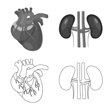 Biyoloji ve bilimsel simge vektör tasarımı. Web için biyoloji ve laboratuvar hisse senedi simgesi kümesi.