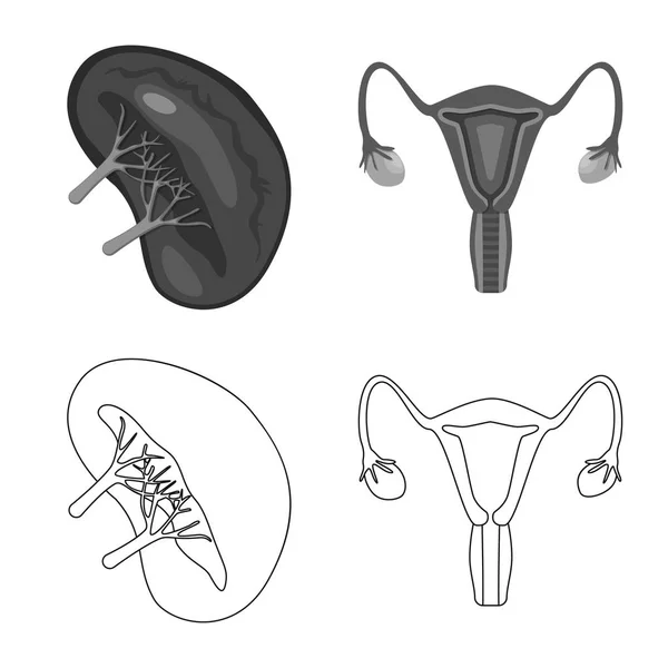 Illustrazione vettoriale di biologia e logo scientifico. Raccolta di biologia e stock di laboratorio simbolo per il web . — Vettoriale Stock