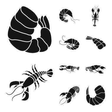 Etin izole nesnesi ve incelik sembolü. Stok için et ve yengeç vektör simgesi koleksiyonu.