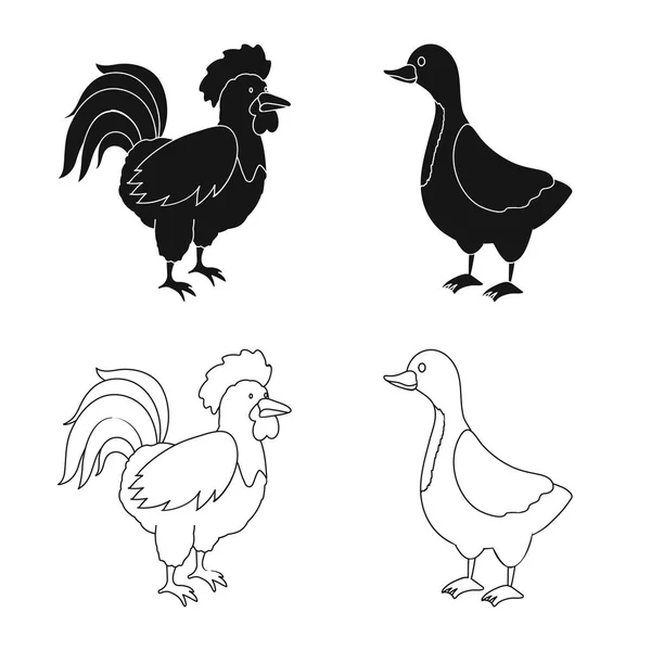 Ilustracja wektorowa ikony hodowli i kuchnia. Kolekcji hodowli i organicznej symbol giełdowy dla sieci web. — Wektor stockowy