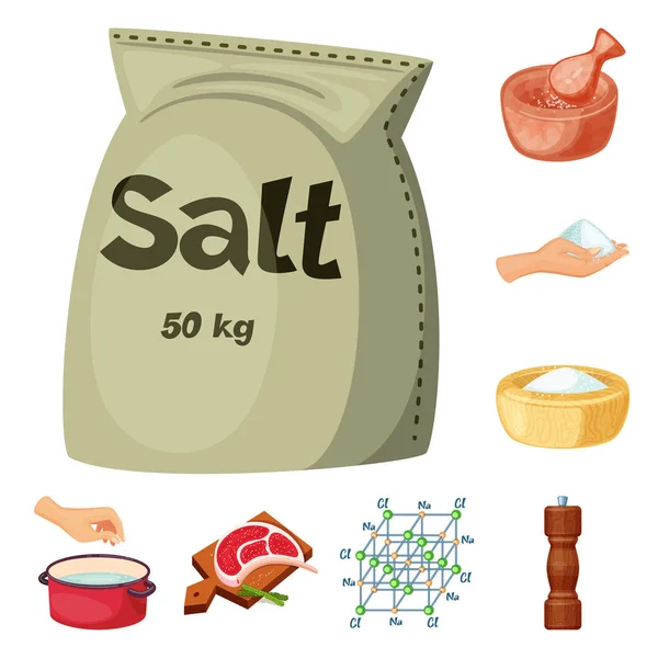 Vector design of salt and food icon. Collection of salt and mineral stock vector illustration. — Stock Vector