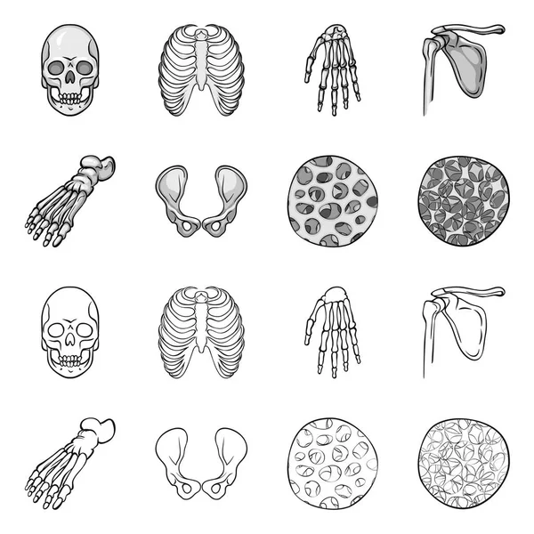 Diseño vectorial de la medicina y signo clínico. Colección de medicina y material médico símbolo para la web . — Vector de stock