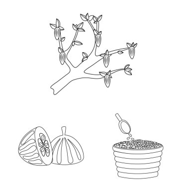 Kakao ve fasulye işareti izole nesne. Stok için kakao ve tatlılık vektör simgesi seti.