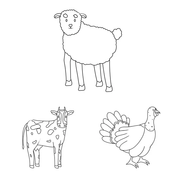 Ilustración vectorial del letrero casero y rural. Colección de símbolo de stock casero y agrícola para web . — Vector de stock