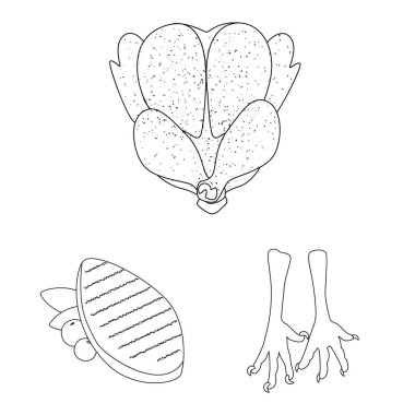 Gıda ve ızgara işareti Vektör illüstrasyon. Stok için yiyecek ve kuş vektör simgesi koleksiyonu.