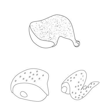 Gıda ve ızgara simgesi izole nesne. Gıda ve kuş stok vektör illüstrasyon koleksiyonu.