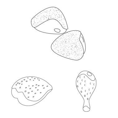 Gıda ve ızgara simgesi izole nesne. Web için yiyecek ve kuş stok sembolü seti.