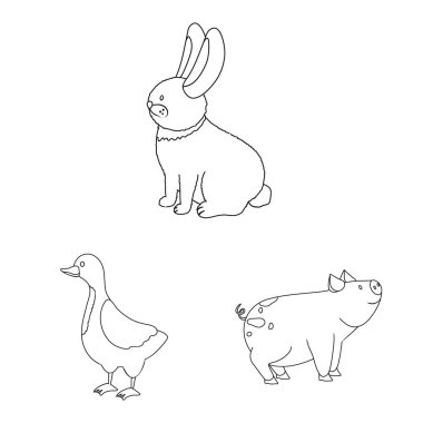 Ev yapımı ve kırsal logo izole nesne. Ev yapımı ve tarım stok vektör illüstrasyon koleksiyonu.