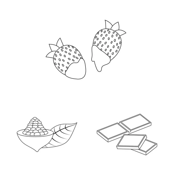 Conception vectorielle du cacao et des haricots icône. Ensemble de symbole de stock de cacao et de douceur pour la toile . — Image vectorielle